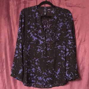 Black and blue popover